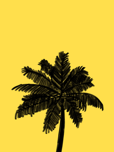 Palm Solo