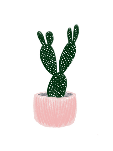 Cactus In A Pink Pot